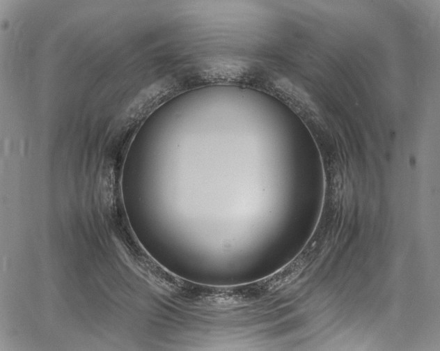 X0000064750498200602101216