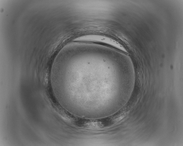 X0000064750499200602101216