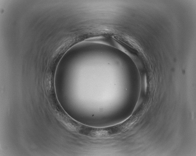 X0000064750501200602101216