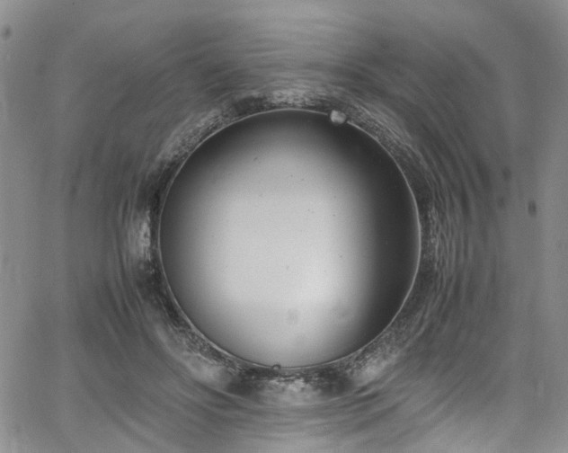 X0000064750502200602101216