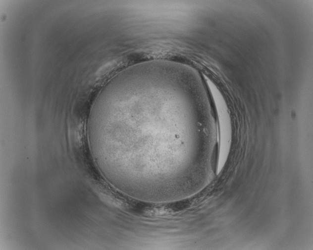 X0000064750503200602101216