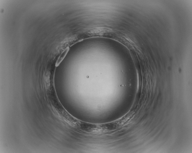 X0000064750504200602101216