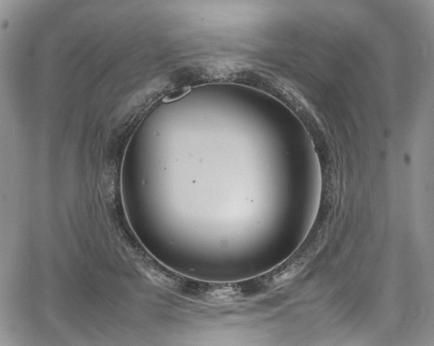 X0000064750505200602101216