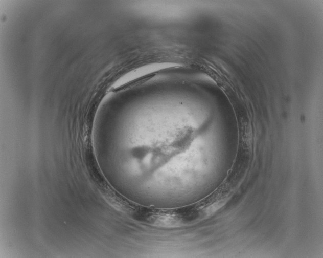 X0000064750507200602101216