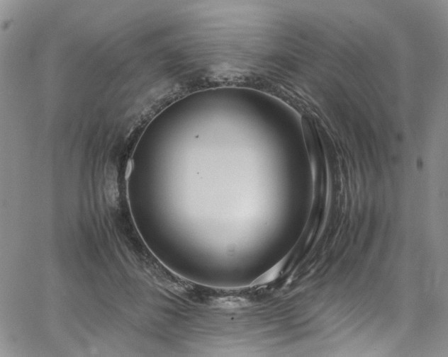 X0000064750508200602101216