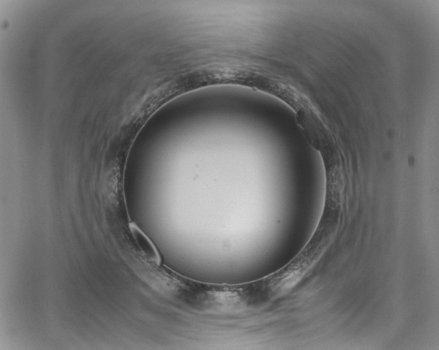 X0000064750509200602101216