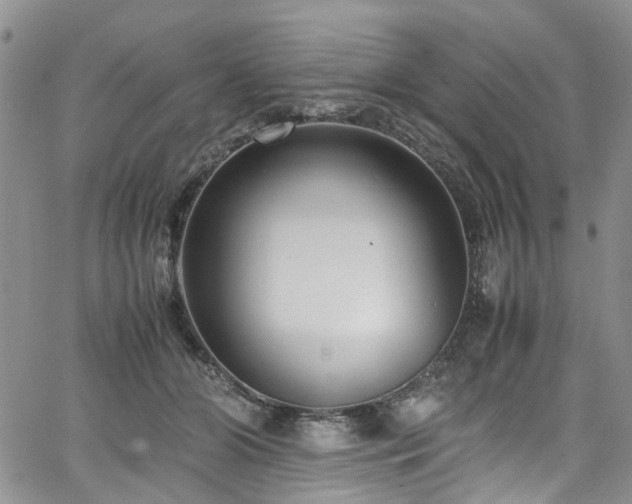 X0000064750510200602101216