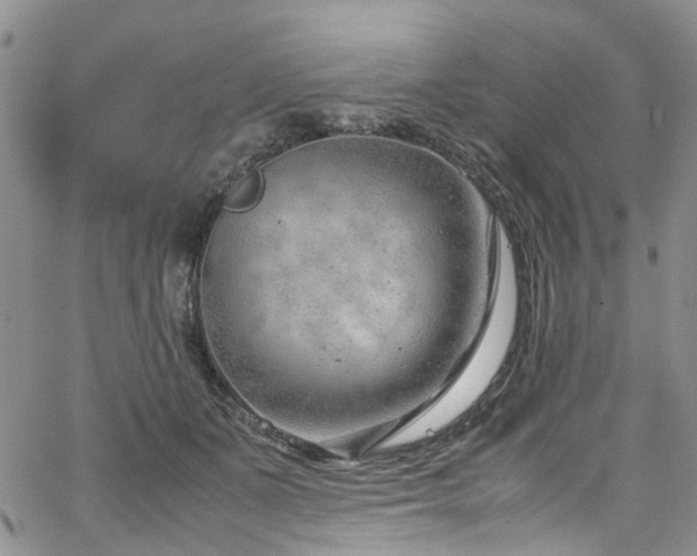 X0000064750511200602101216