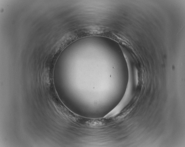 X0000064750512200602101216