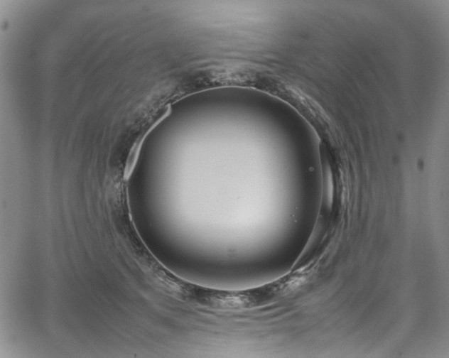 X0000064750513200602101216