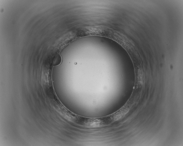 X0000064750514200602101216