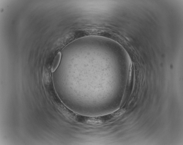 X0000064750515200602101216