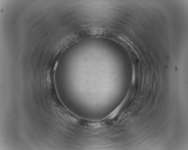 X0000064750516200602101216