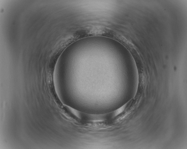 X0000064750517200602101216