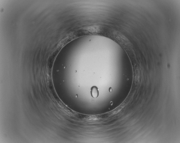 X0000064750518200602101216