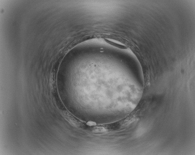 X0000064750519200602101216