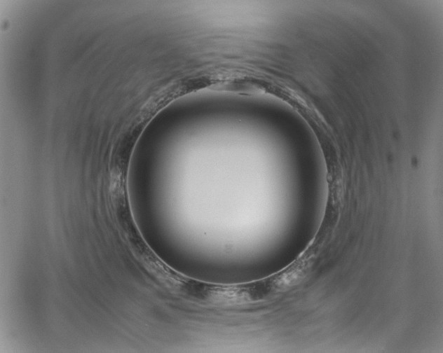 X0000064750521200602101216