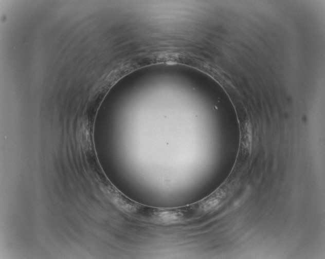 X0000064750522200602101216