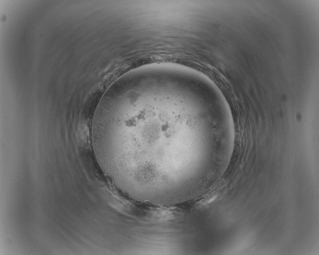 X0000064750523200602101216