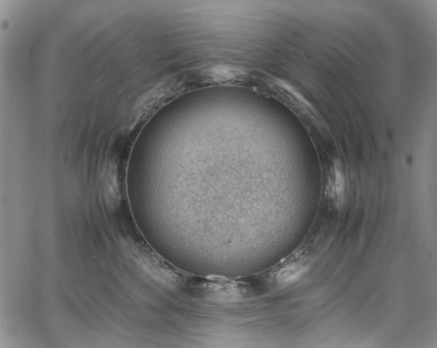 X0000064750524200602101216