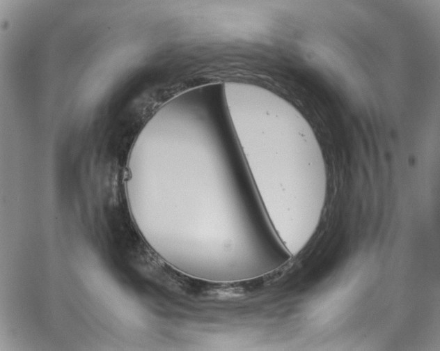 X0000064750525200602101216