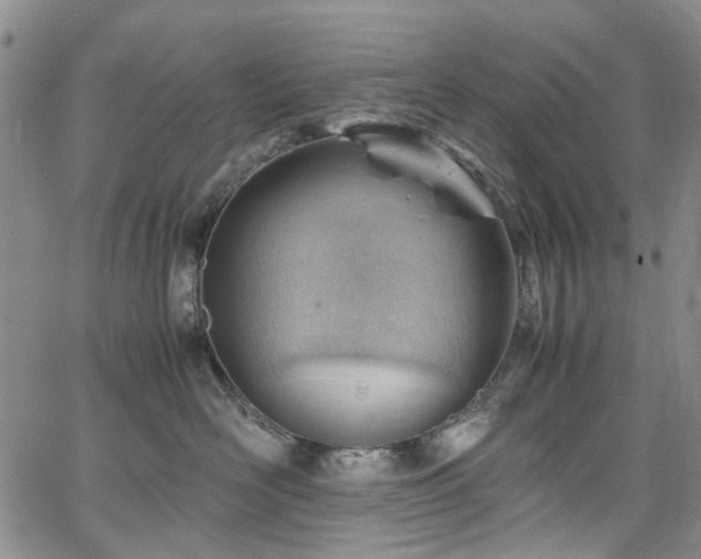 X0000064750526200602101216