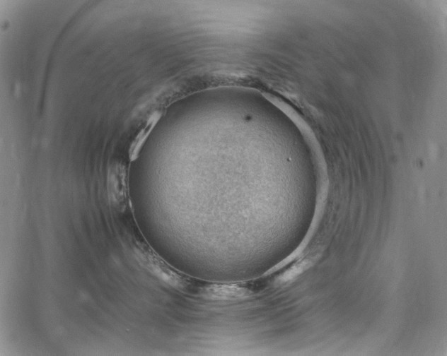 X0000064750528200602101216