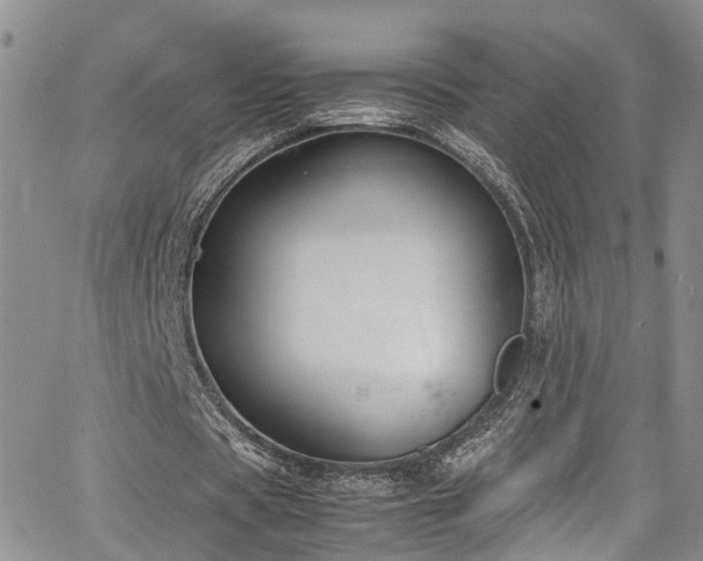 X0000064750529200602101215