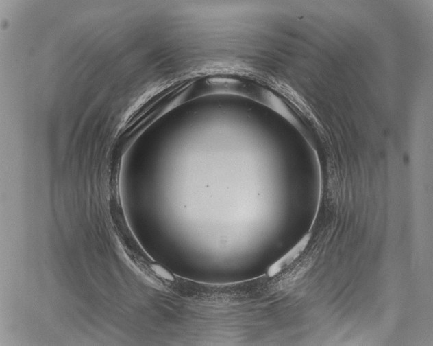 X0000064750530200602101215