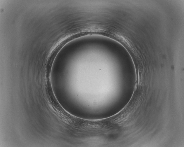 X0000064750531200602101215