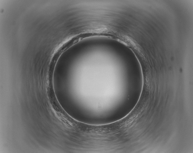 X0000064750532200602101215