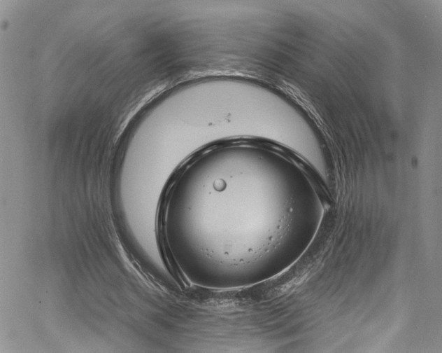 X0000064750534200602101215