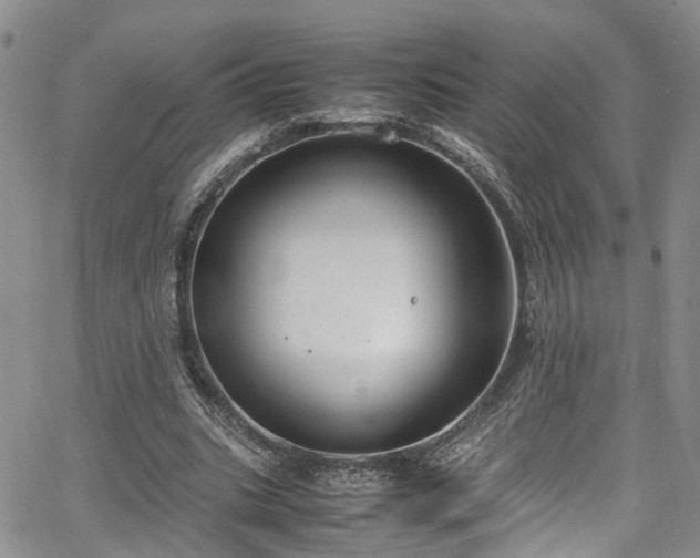 X0000064750535200602101215