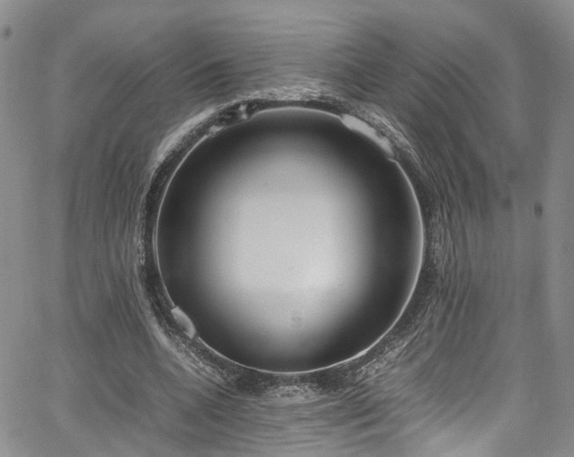 X0000064750536200602101215