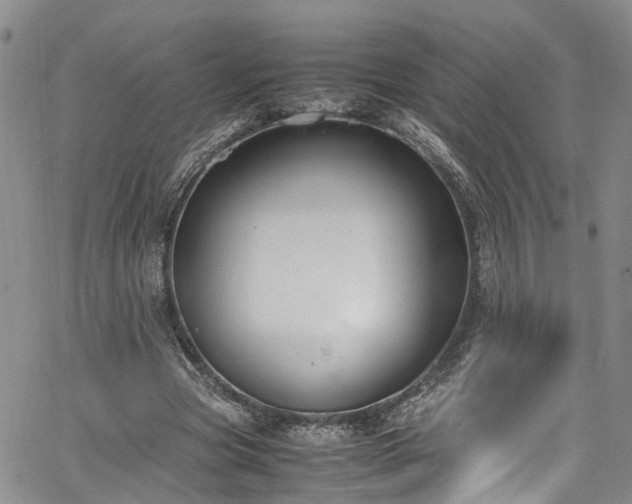 X0000064750537200602101215