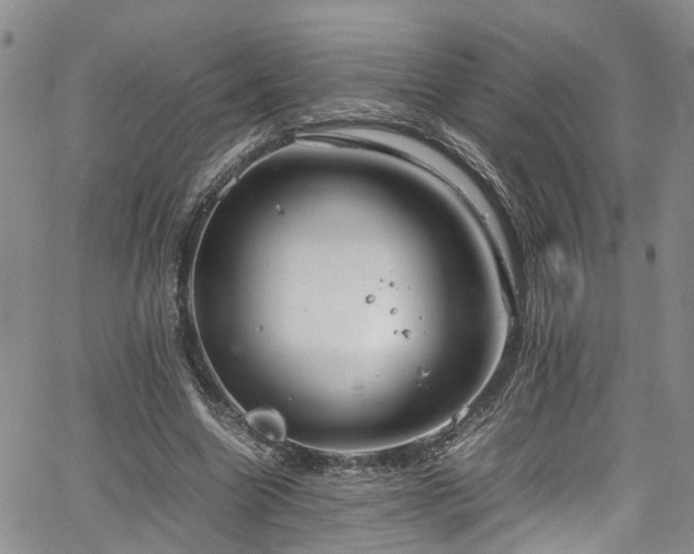 X0000064750538200602101215