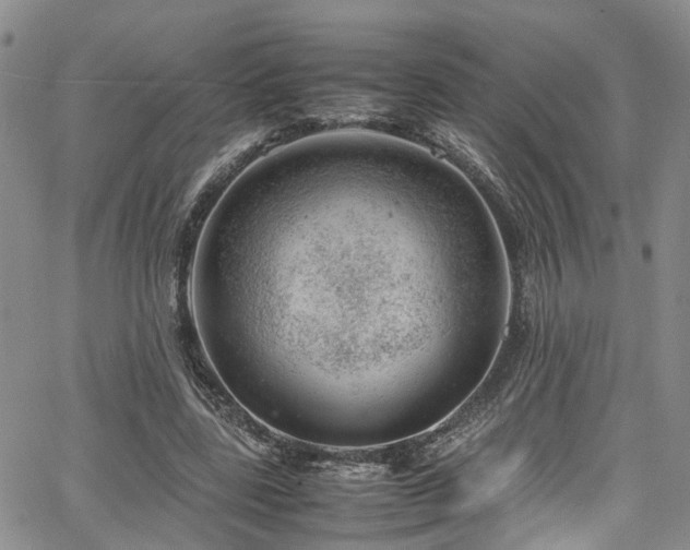 X0000064750539200602101215