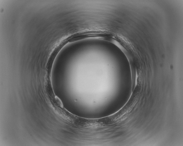 X0000064750540200602101215