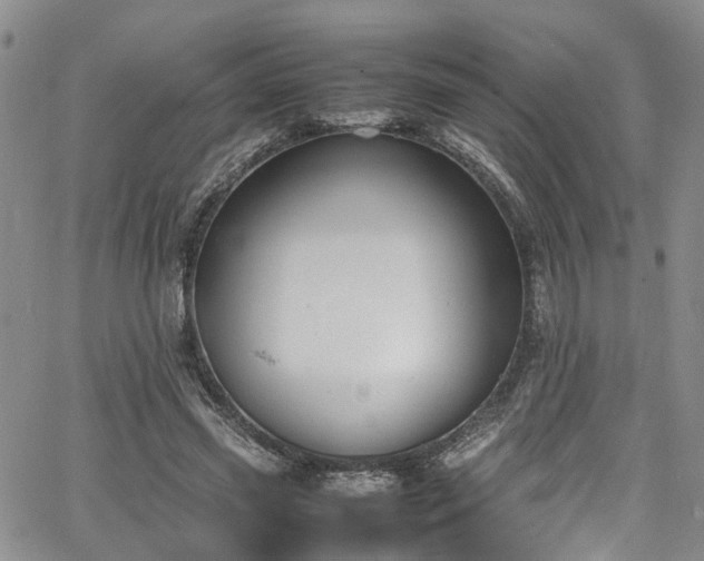 X0000064750541200602101215