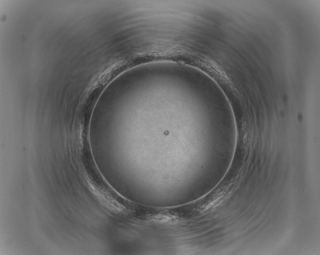 X0000064750542200602101215