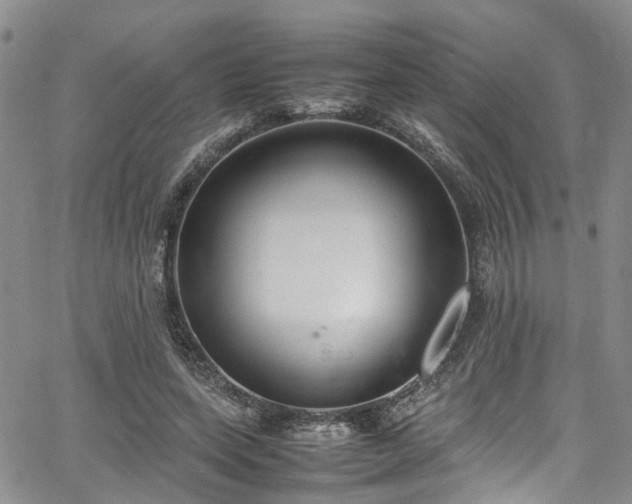 X0000064750543200602101215