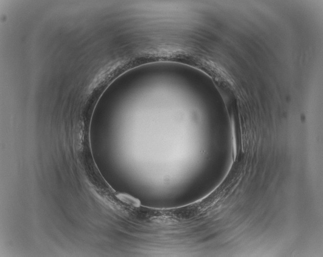 X0000064750544200602101215