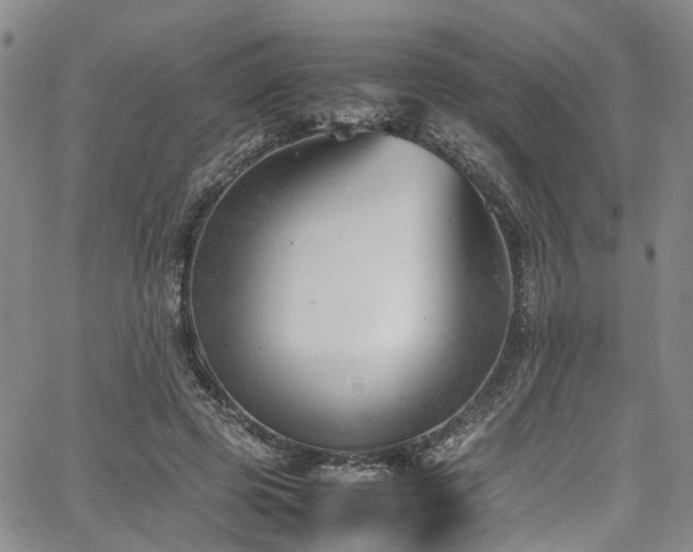 X0000064750545200602101215