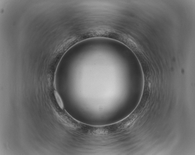 X0000064750546200602101215