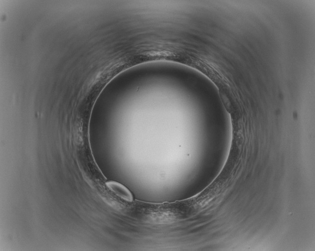 X0000064750547200602101215