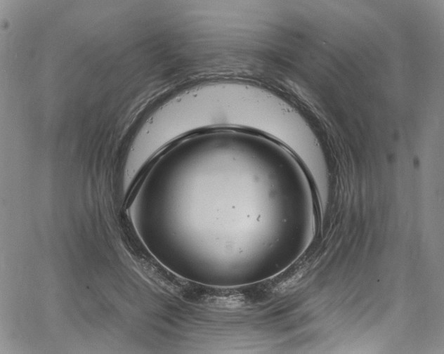 X0000064750548200602101215