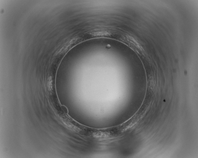 X0000064750549200602101215