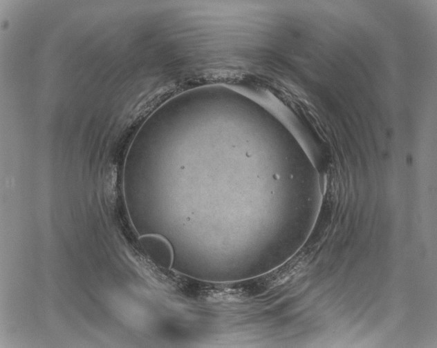 X0000064750550200602101215