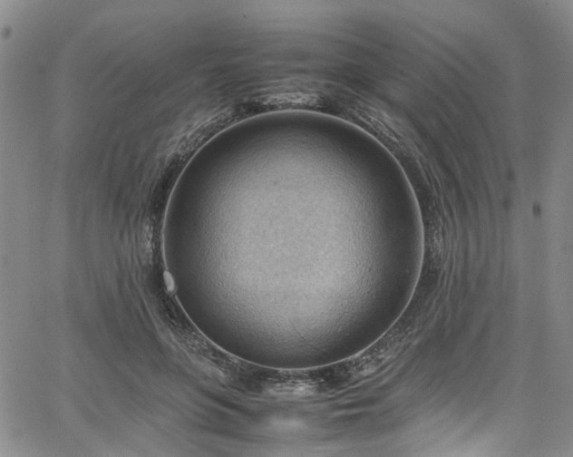 X0000064750551200602101215