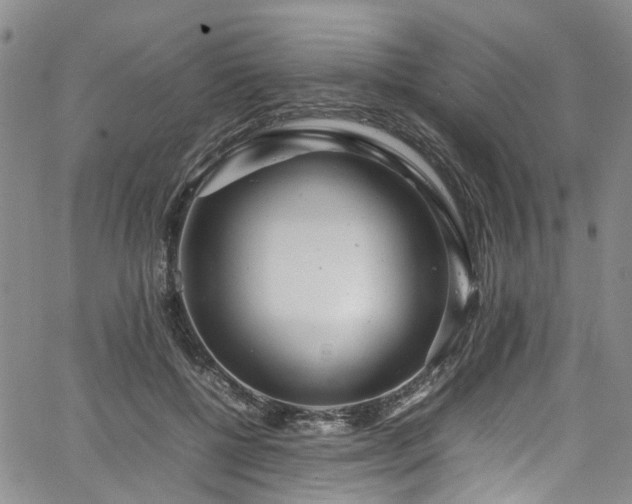 X0000064750552200602101215